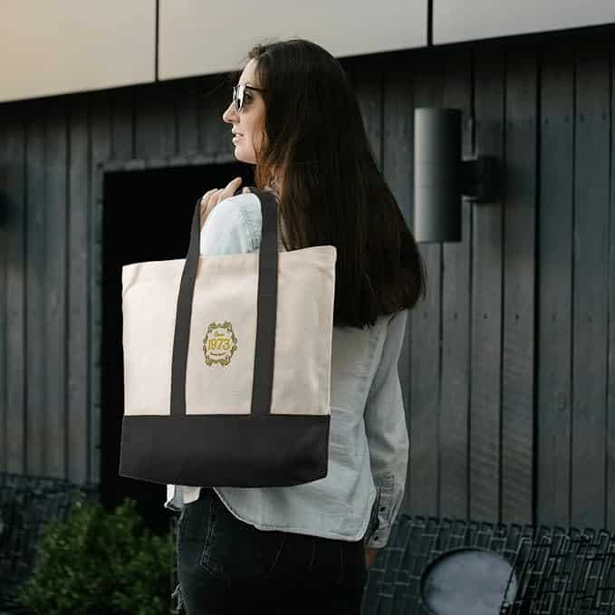 Stilig To Farget Toteveske